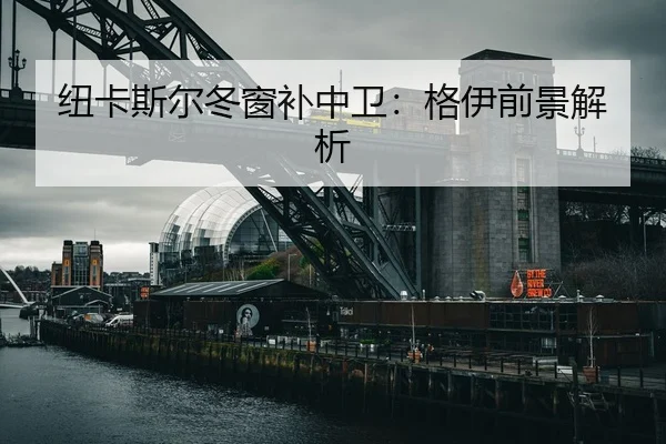 纽卡斯尔冬窗补中卫：格伊前景解析